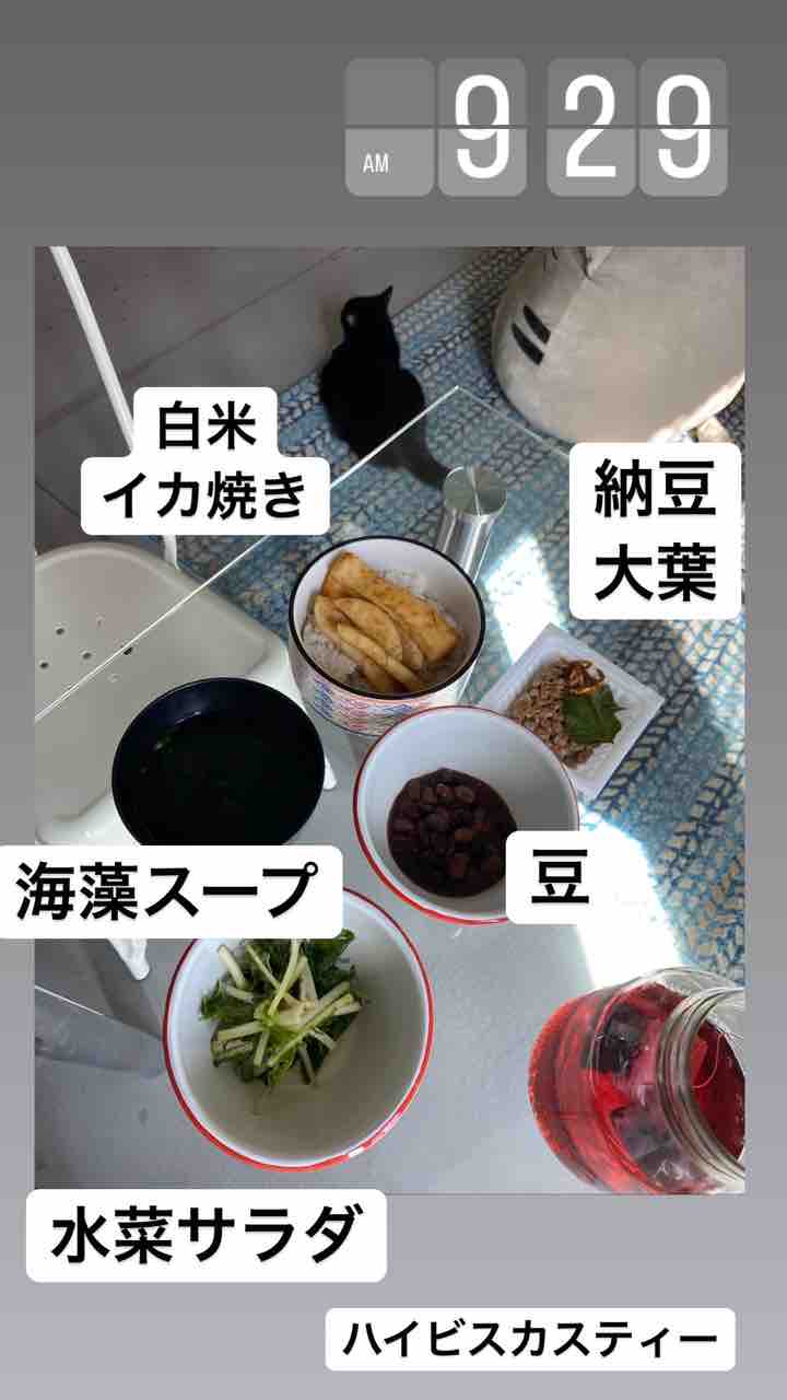 ごはん日記 冷凍イカ大活躍 アイスコーヒー 野菜サラダ ハワイネコ ブログ ごはん日記 冷凍イカ大活躍 アイスコーヒー 野菜サラダ ハワイネコ ブログ