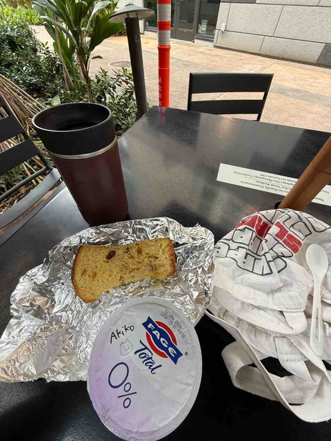 【ダイエットご飯日記】食べたいものをいかに食事に組み込むか【1700kcal】