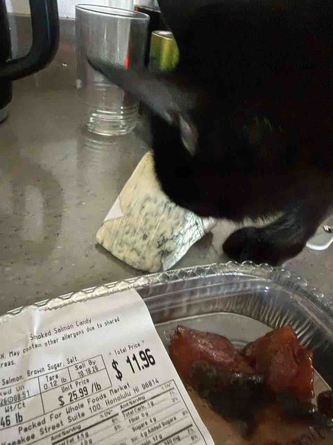 【ご飯日記】キャンディーサーモン・猫と日向ぼっこ・AIとお掃除
