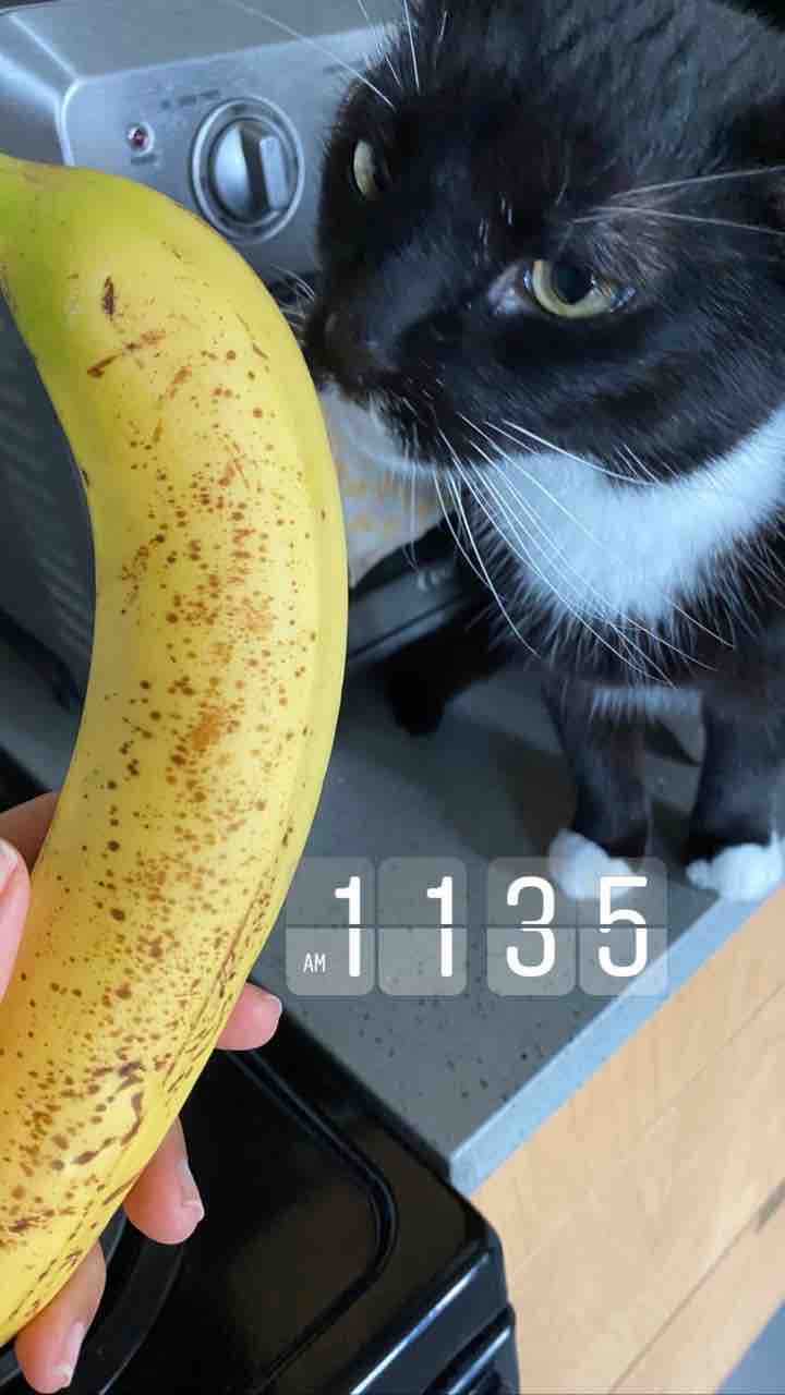 鱈すごい ビーチでおやつ スイカ半分 チキンとポイ ごはん日記 ハワイネコ ブログ