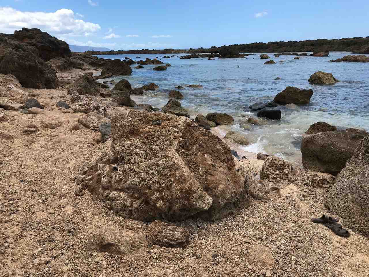 シャークスコーブでシュノーケリング 魚に亀に ハワイ オアフ島 ハワイネコ ブログ シャークスコーブでシュノーケリング 魚に亀に ハワイ オアフ島 ハワイネコ ブログ