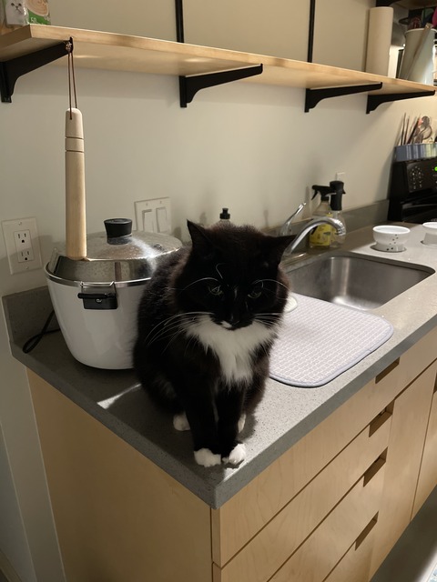 69831409082__53A5A413-28EA-4FA4-8F23-3E7A7A4F74B5