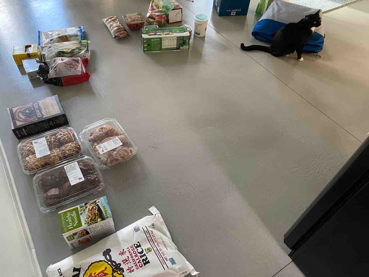 コストコ買い物その2 魚にマフィンに糖質ゼロ麺 購入記録221ドル分 ハワイネコ ブログ コストコ買い物その2 魚にマフィンに糖質ゼロ麺 購入記録221ドル分 ハワイネコ ブログ