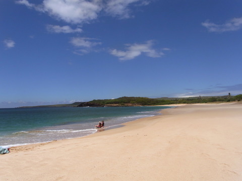 fbd99048.jpg