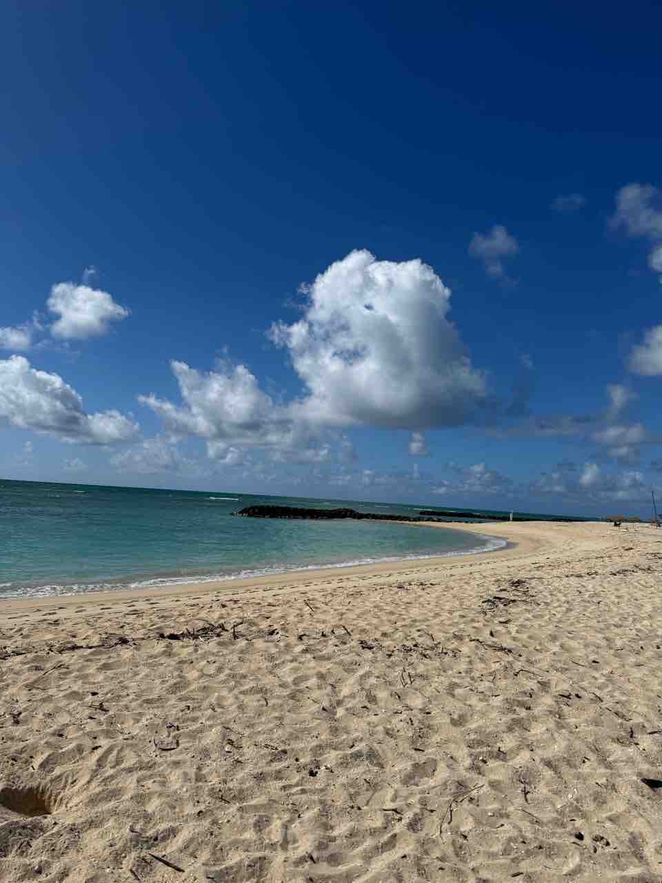 ハワイの穴場ビーチ】プウロアビーチ(Iroquois beach) : ハワイネコ ブログ