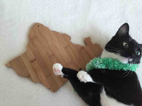 9DA0D76A-911D-47DC-9C1B-662C6DAAE2C0