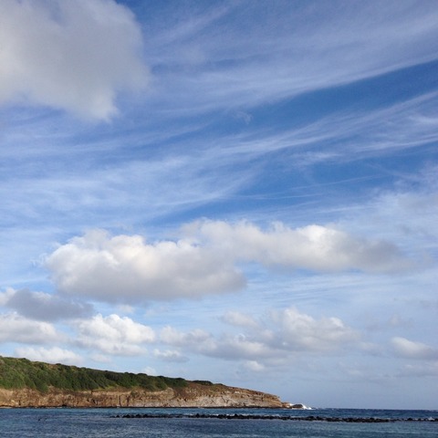 ff5555d0.jpg