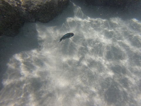 ff58a6b1.jpg
