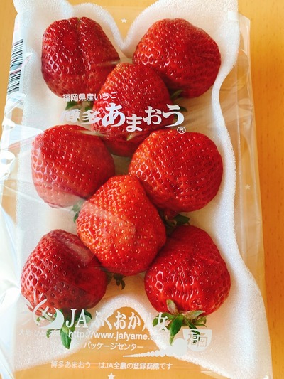 ふるさと納税あまおう