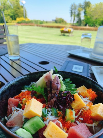 TJK成田ランチ