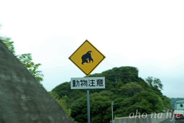 ´Û»³01