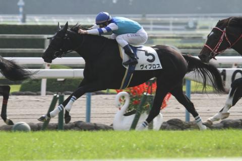 show_diary_photo