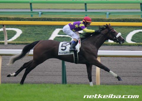 show_photo (1)