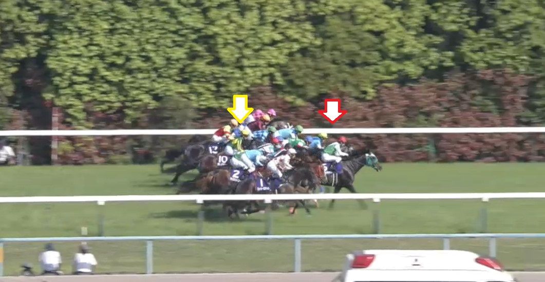 2018年天皇賞春 レース回顧 解説するっち 勝ち組になれる競馬