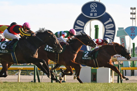 東京新聞杯コメント