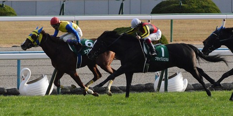 Air_Spinel_Kyoto_Kinpai_2017(IMG1)