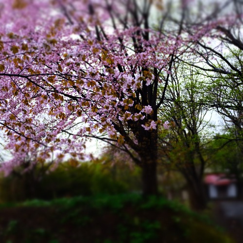 DSCF0755