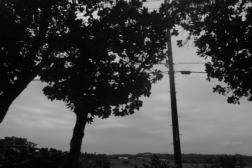 P1140044