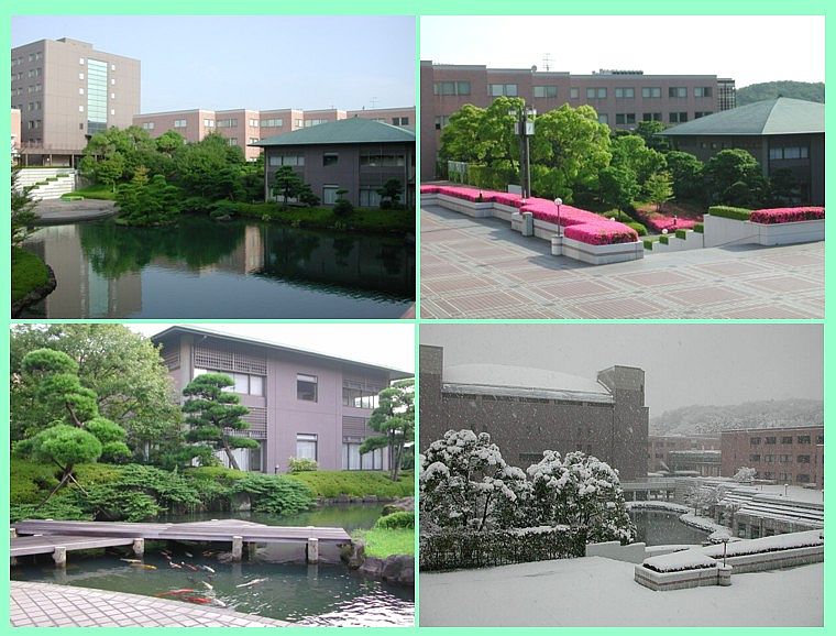 駒沢女子短期大学 駒沢女子大学の卒業式 キウイの自由研究 駒沢女子大学 西山