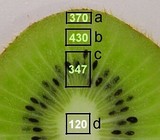 508a3248.jpg