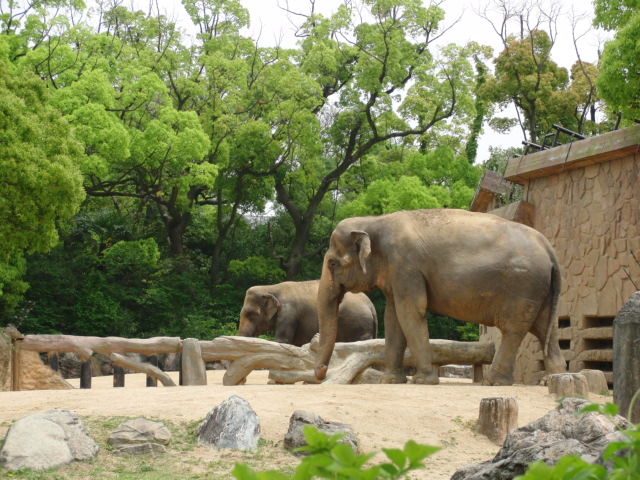 天王寺動物園 天王寺公園 連絡ゲートが新たに設置されました Actio 広報担当ブログ 天王寺動物園 天王寺公園 連絡ゲートが新たに設置されました Actio 広報担当ブログ