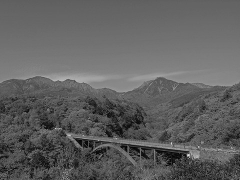 20071022232621_1_1