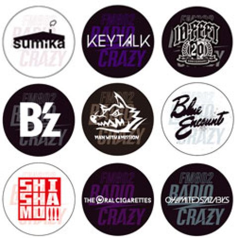 缶バッジセット 2025年レディクレ みゆな ライブグッズ 缶バッジ 802