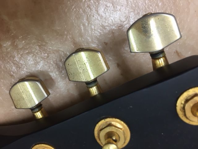 Reed Man 501 エレアコ TOKYO IN JAPAN ??? : 鈴木宏治のブログ