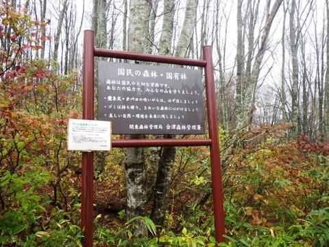 IMGP0343