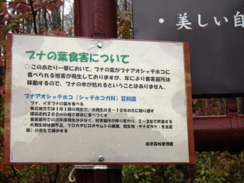 IMGP0342