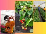 CollageMaker_20210406_145118368
