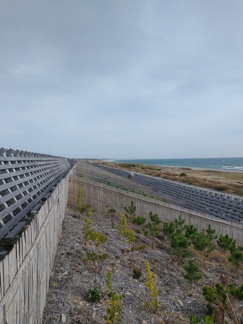 IMG_20201213_115936582