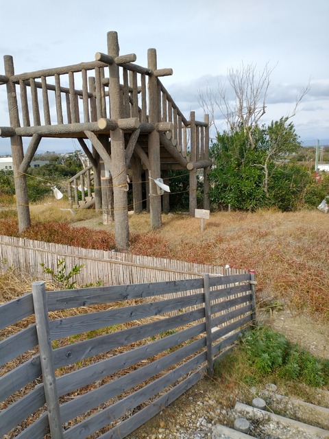 IMG_20201213_115809963_HDR