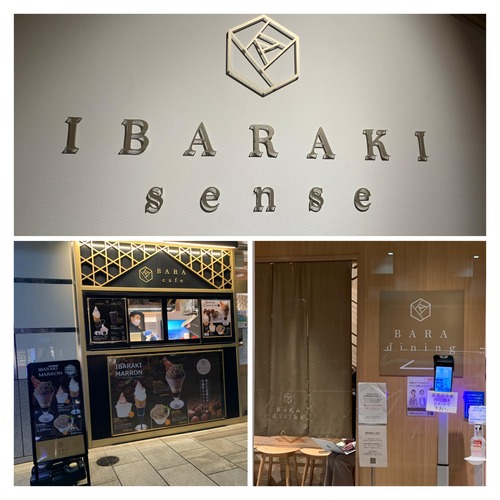 313578629_1075443363162499_5757555652782773889_n