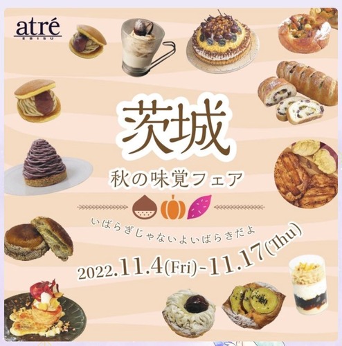 313126598_684156533362905_8448926087455200322_n