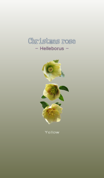 yellow a
