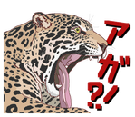 aアガ?!