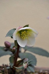 a200215_0045