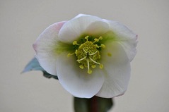 a200215_0050