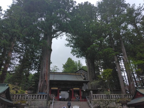IMG_20260610_104045