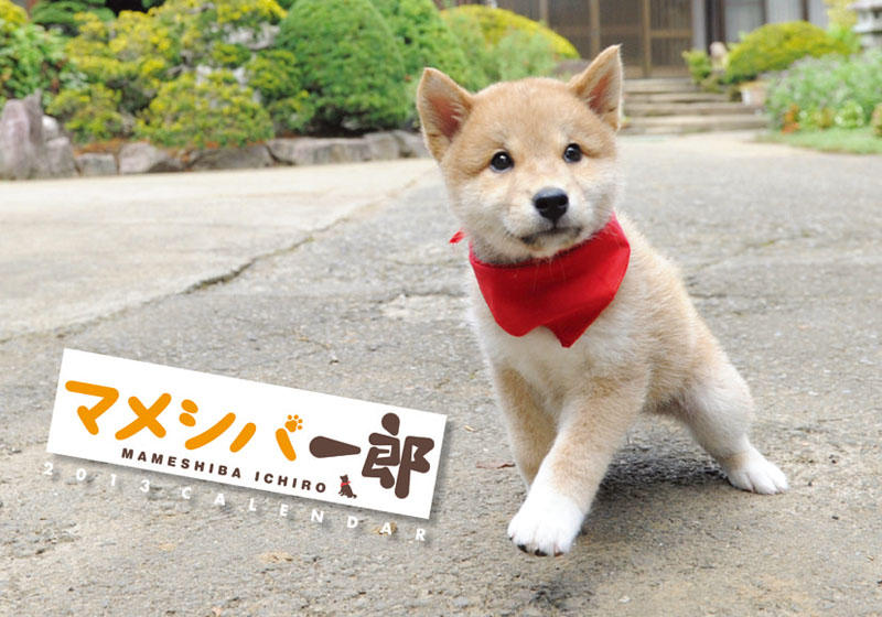 マメシバ一郎 13年カレンダー カレンダーdata置き場 Calendar画像 マメシバ一郎 13年カレンダー カレンダーdata置き場 Calendar画像