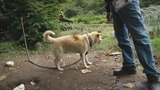 暴风截图201311111832753