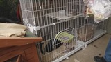 暴风截图201311112946834