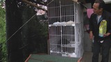 暴风截图2013101353996750