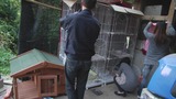 暴风截图2013101353686932