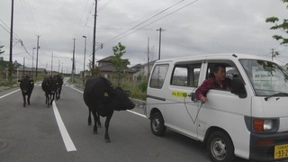 暴风截图201282023677067