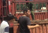IMG_2238hhhhh
