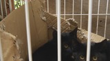 暴风截图201311113051449