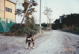 IMG_20230528_0004