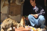 暴风截图20155227042306